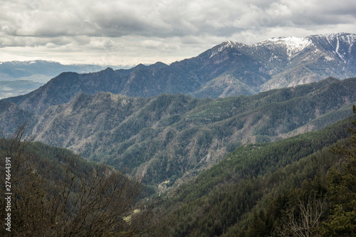 mountain scape in borjomi national park