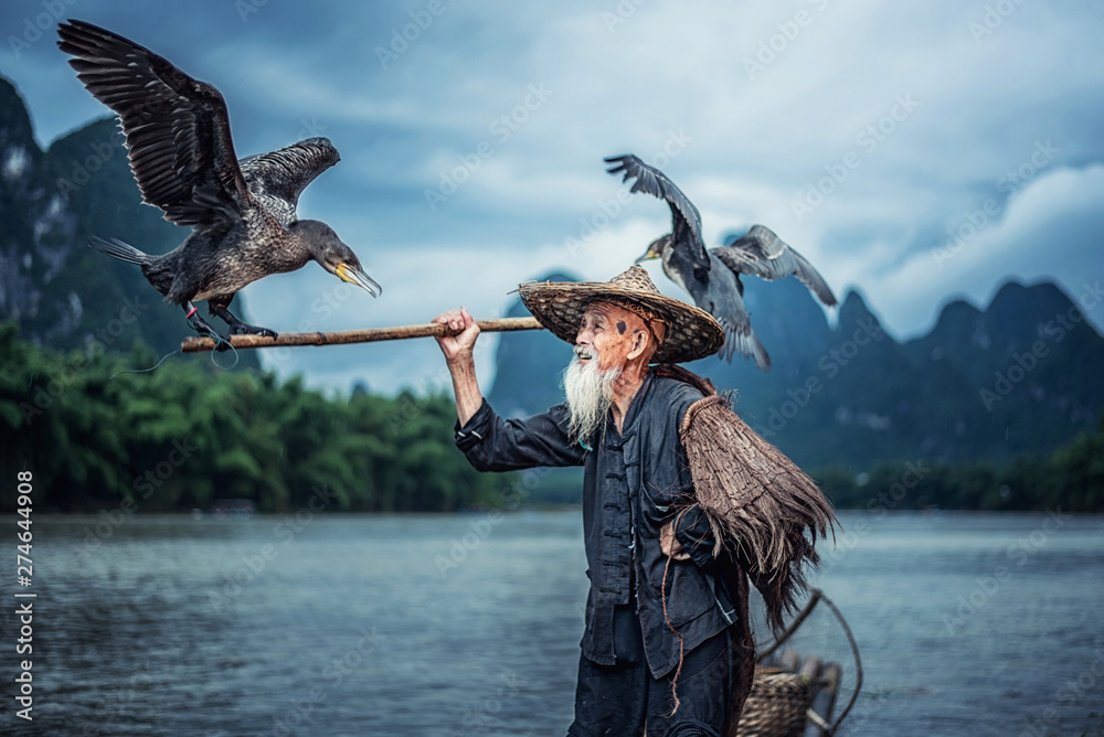 Cormorant fisherman in Traditional showing of his birds on Li river near Xingping, Guangxi province, China. - obrazy, fototapety, plakaty 
