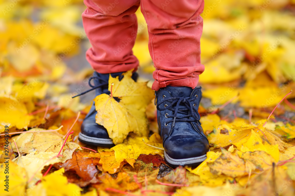 Close up photo of child legs in boots on background of a golden maple leaves. - obrazy, fototapety, plakaty 