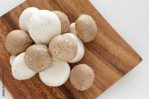 Freshness white and brown mushroom