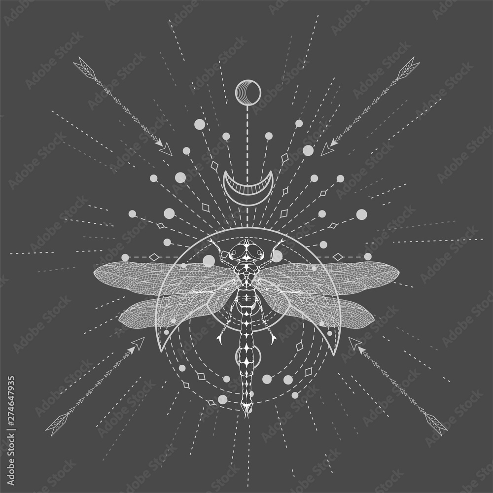 Obraz premium Vector illustration with hand drawn Dragonfly and Sacred symbol on black background. Abstract mystic sign. White linear shape. For you design, tattoo or magic craft.