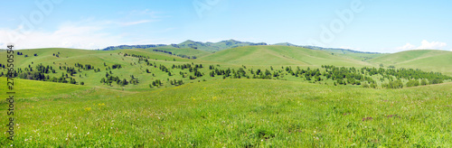 Podobny obraz