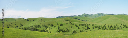 Obraz na płótnie Beautiful hilly panoramic summer landscape with green grassy hills in a sunny da