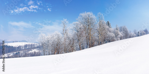 panorama of a beautiful winter landscape. forest on the edge of a snow covered meadow. trees in hoarfrost on the slope. wonderful frosty sunny weather with clouds