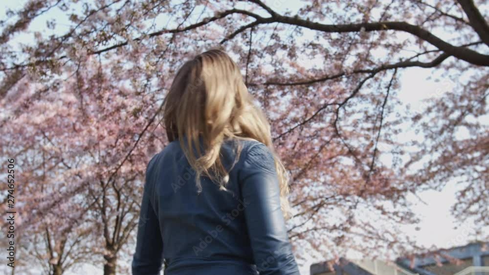 Beautiful blonde girl admiring the beauty of the cherry blossoms at Sakura Cherry trees. Tracking camera. Low angle shot Beautiful blonde girl admiring the beauty of the cherry blossoms at Sakura Cherry trees. Tracking camera. Low angle shot