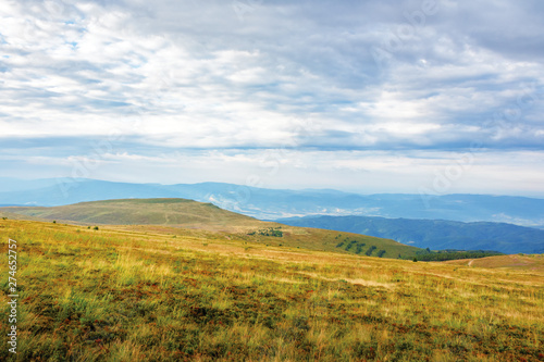 overcast weather in mountains in the morning. weathered grass on the slopes and hills. mountain range in the far distance. beautiful landscape in august.