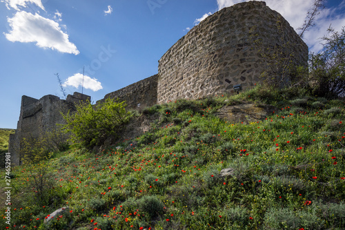 in front of mzcheta castle photo