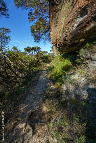 hiking the grand clifftop walk, blue mountains, australia 4