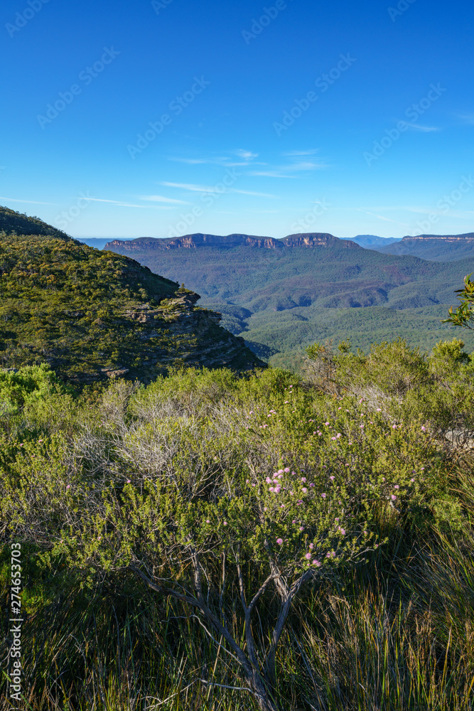hiking the grand clifftop walk, blue mountains, australia 10