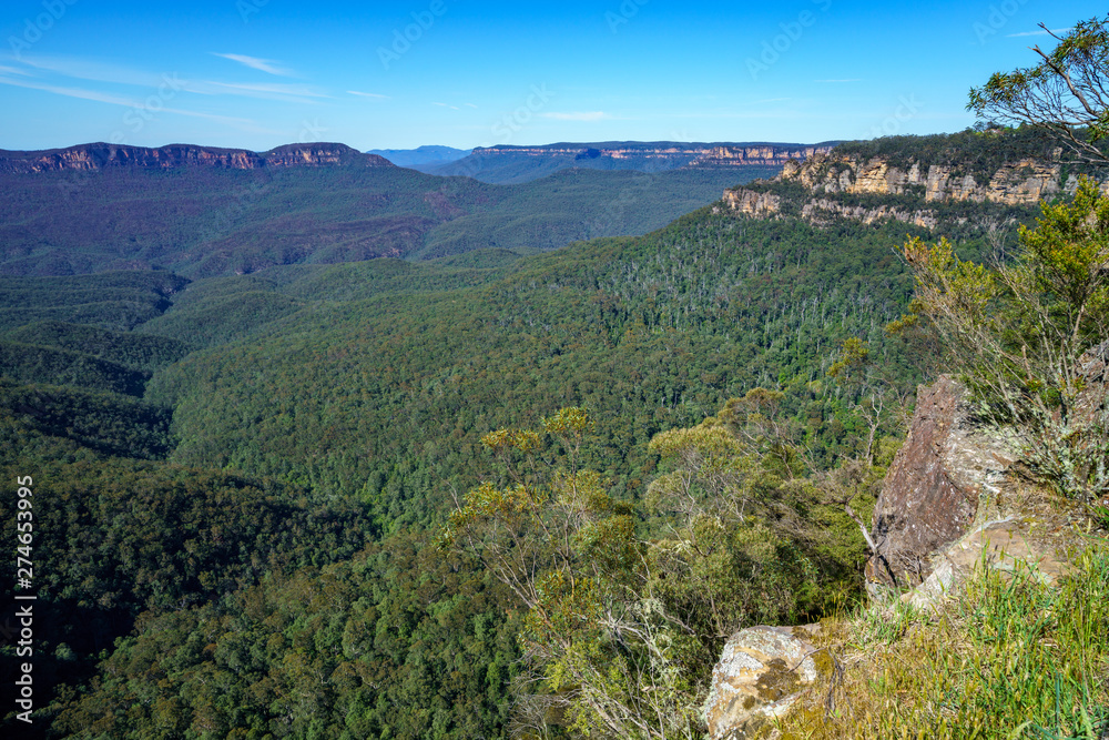 hiking to gordon falls lookout, blue mountains, australia 7