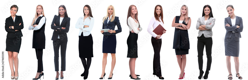 panoramic collage of a group of successful young business women. panoramic collage of a group of successful young business women.