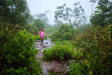 tourist with pink rain coat walking travel adventure nature in the rain forest. travel nature, Travel relax, Travel Thailand, rainy season.