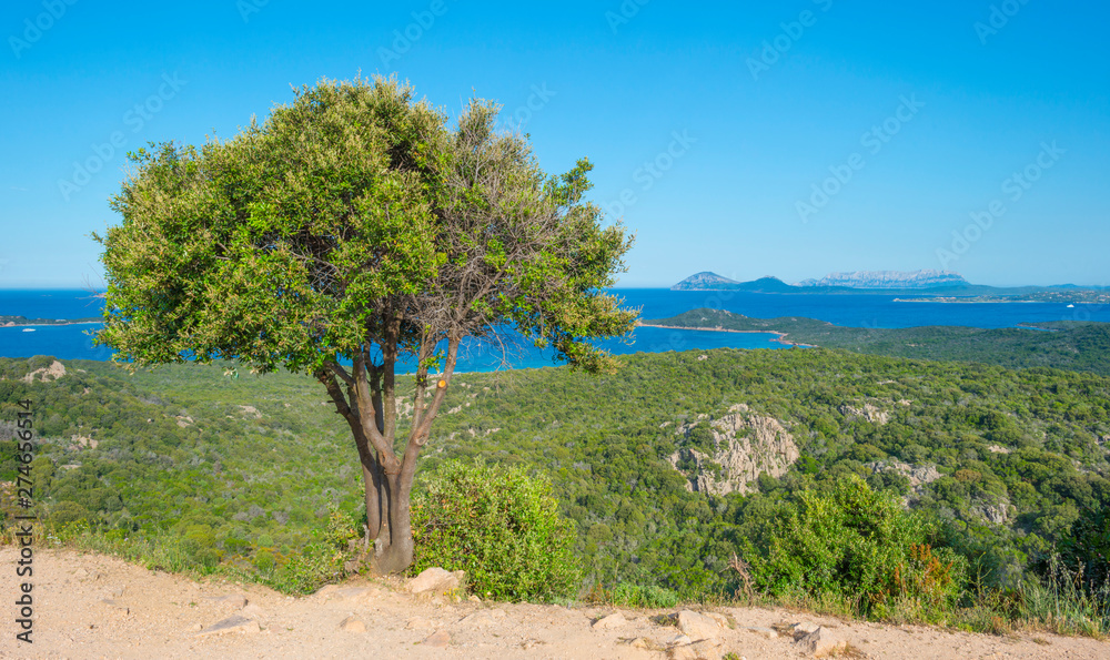 Rocky coast of the island of Sardinia in the Mediterranean Sea in sunlight in spring