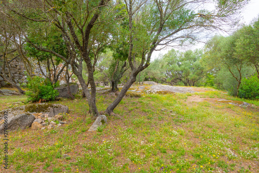 Scenic landscape of green hills and rocky mountains of the island of Sardinia in spring Scenic landscape of green hills and rocky mountains of the island of Sardinia in spring