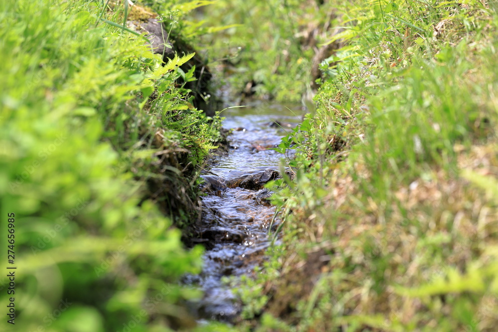 Water stream for rice field in Japan Water stream for rice field in Japan