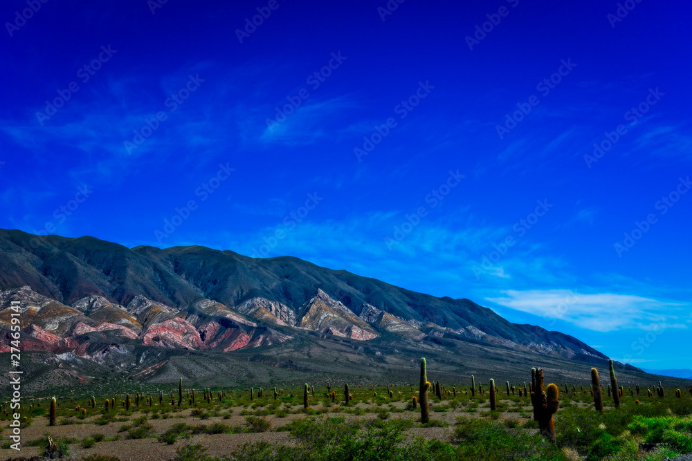 Fototapeta premium A beautiful view of Los Cardones National Park, Salta, Argentina
