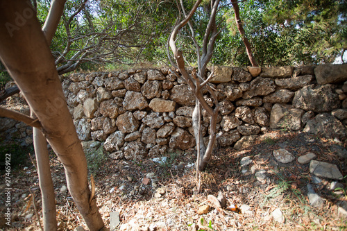 Stone wall on the seashore