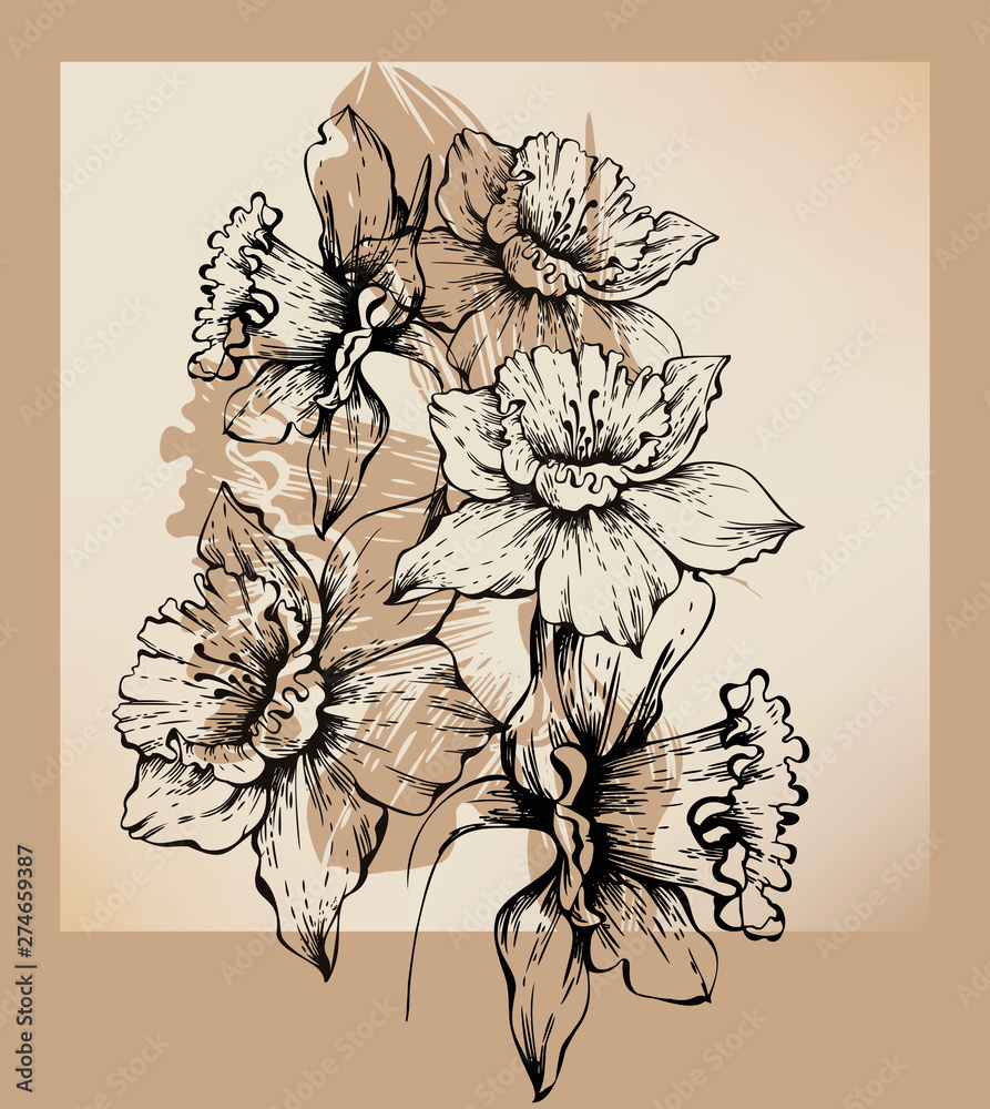 custom made wallpaper toronto digitalBackground with drawing daffodils, hand drawing. Vector illustration