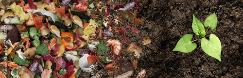 Composted Soil Cycle photo
