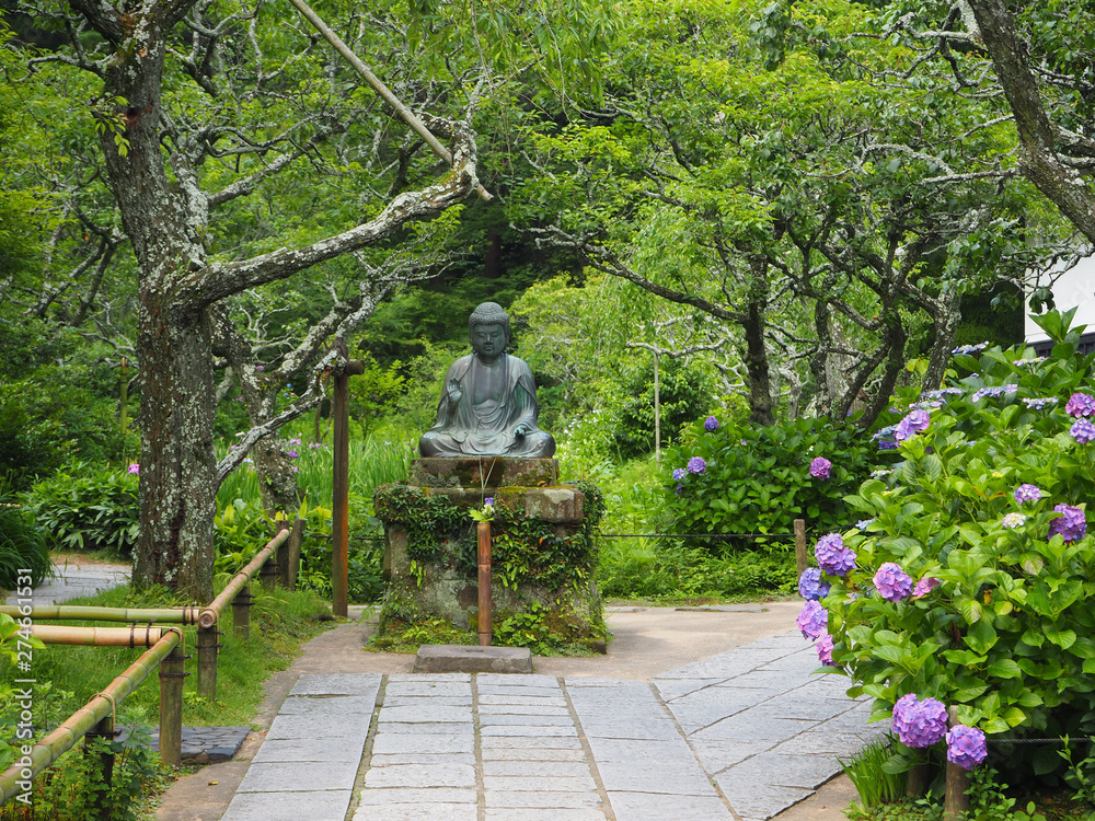 北鎌倉　東慶寺のアジサイ