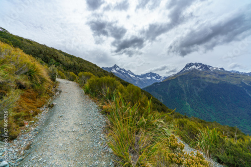 hiking the path, key summit track, southern alps, new zealand 2