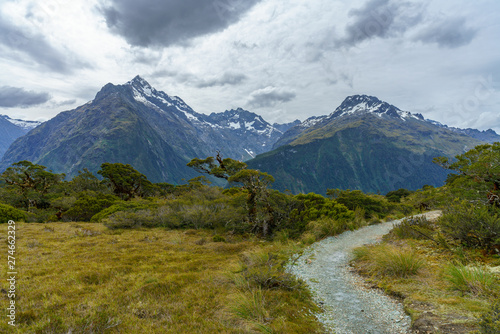 hiking the path, key summit track, southern alps, new zealand 12