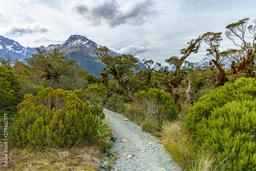 hiking the path, key summit track, southern alps, new zealand 27