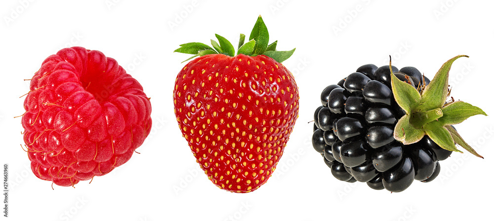 Fresh berries isolated on white background with clipping path Fresh berries isolated on white background with clipping path