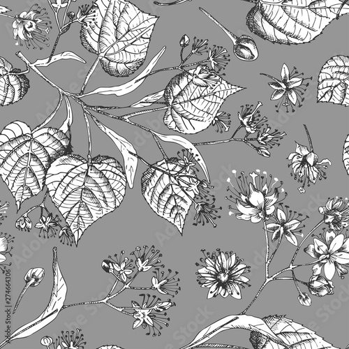 Linden blossom hand drawn seamless pattern with flower, lives and branch in black and white color on gray background. Retro vintage graphic design Botanical sketch drawing