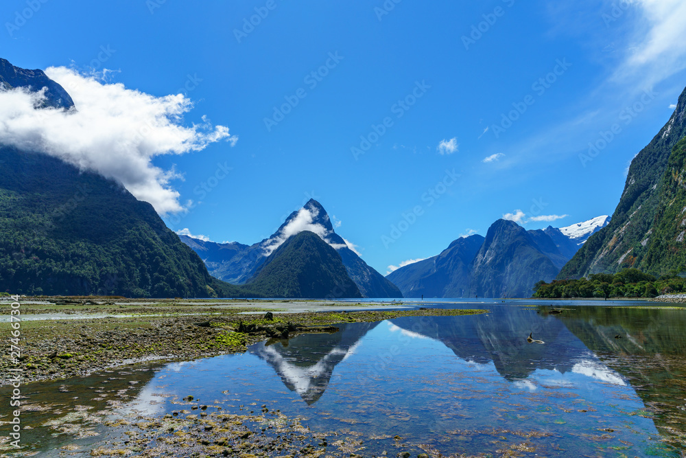 reflections of mountains in the water, milford sound, new zealand 15