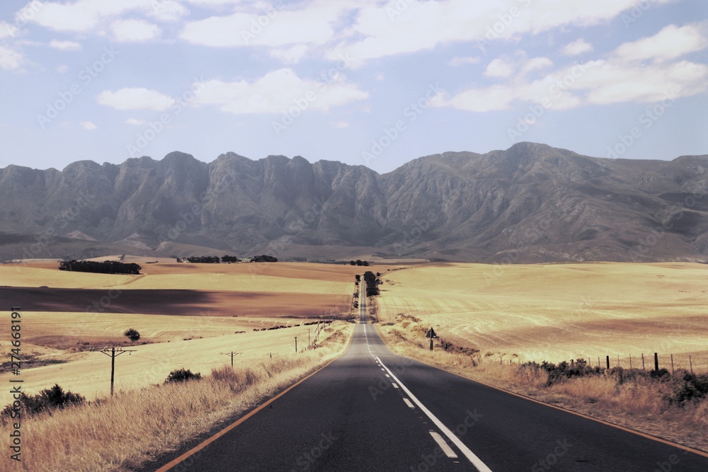 Fototapeta premium road in mountains