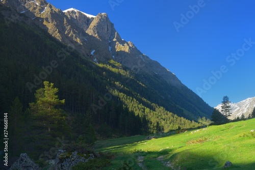 Morning in mountains