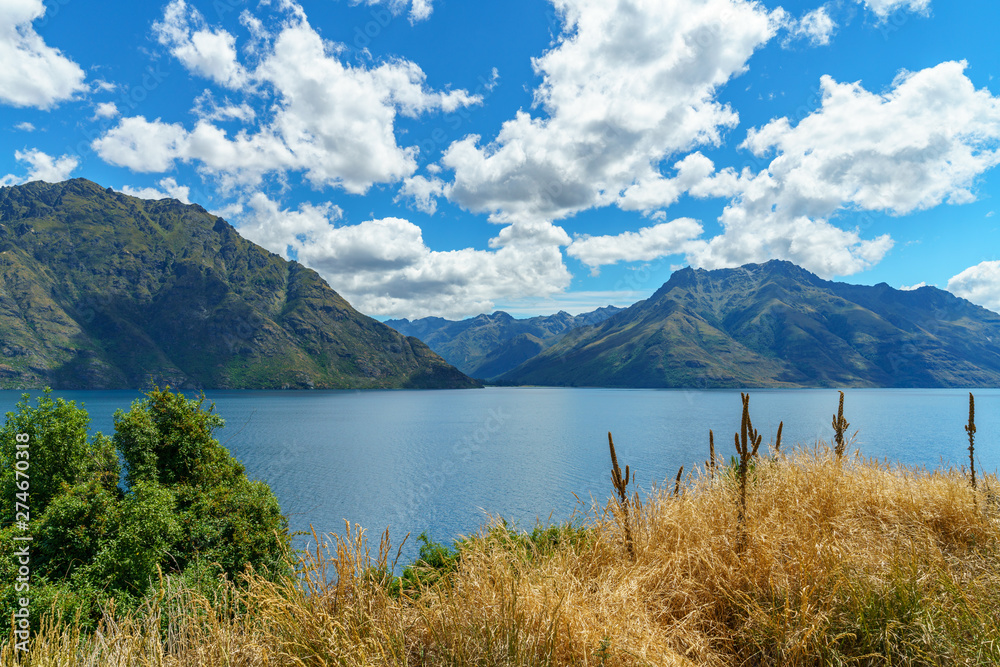 lupins in the mountains at lake wakatipu, otago, southern alps, new zealand 9