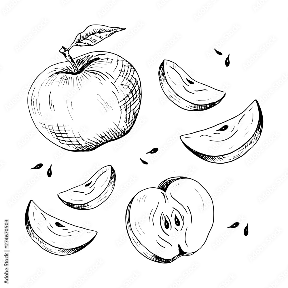 Black White Engraved Illustration Apples Hatched Drawing Contour  Illustration Menu Stock Vector by ©veleri 216163574