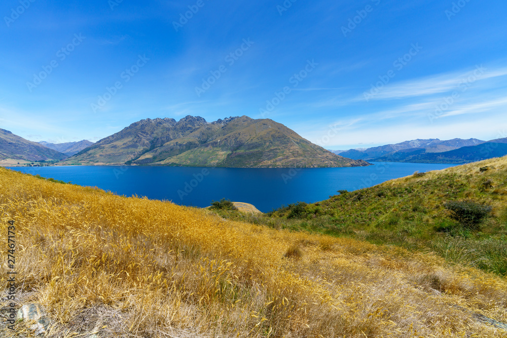 hiking jacks point track with view of lake wakatipu, queenstown, new zealand 3