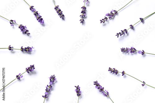 The sprigs of flowering lavender are arranged in a circle on a bright background. blank for a gentle invitation
