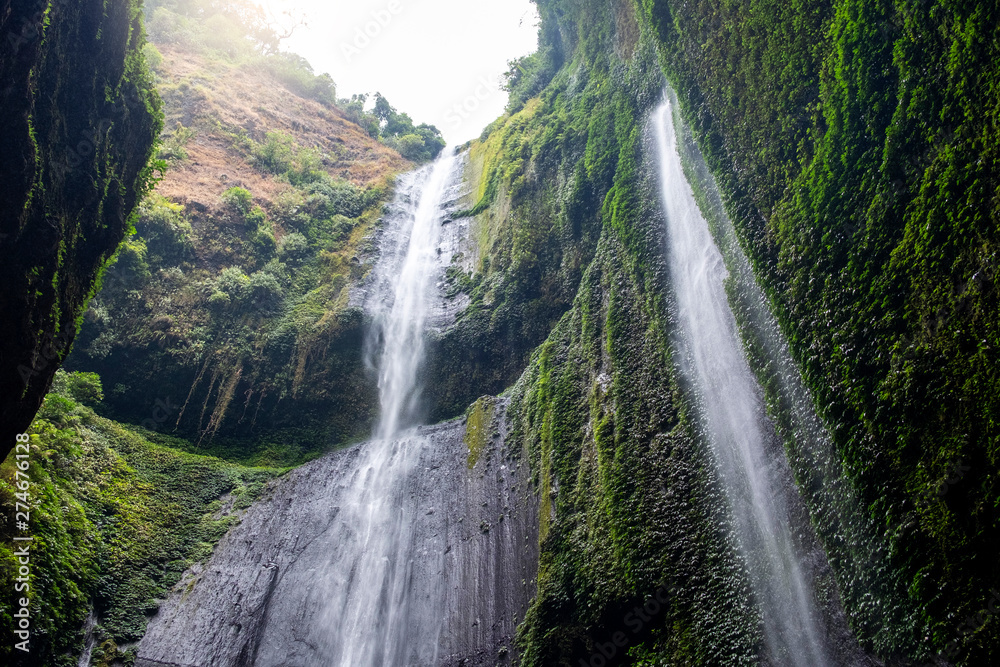 Fototapeta premium Madakaripura waterfall East Java,IndonesiaIndonesia