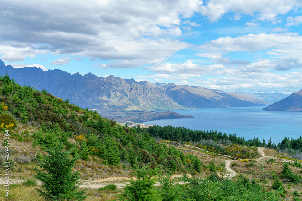 Obraz premium hiking the queenstown hill walkway, lake waktipu, new zealand 5