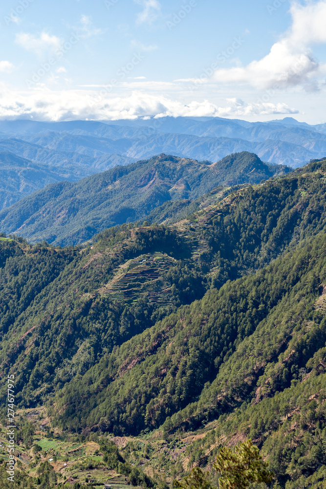 Terraced fields in the mountain area in Luzon island in the Philippines