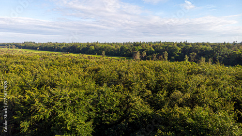 Aerial view of the New Forest National Park with heathland, forest and trail path under a majestic blue sky and some white clouds