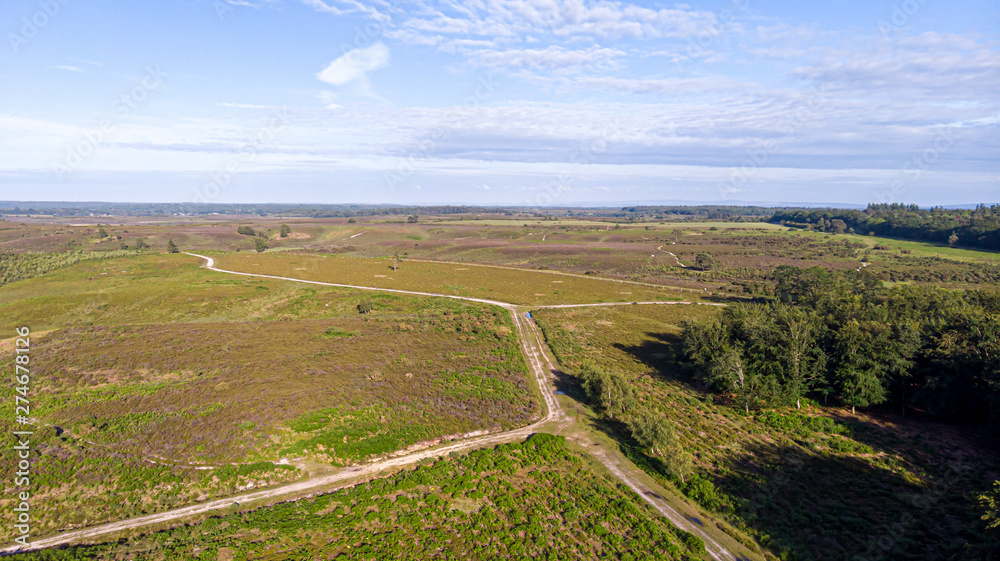 Aerial view of the New Forest National Park with heathland, forest and trail path under a majestic blue sky and some white clouds Aerial view of the New Forest National Park with heathland, forest and trail path under a majestic blue sky and some white clouds