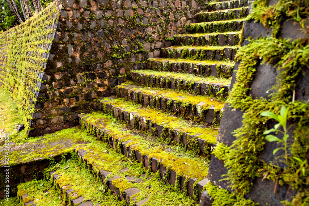 Mossy stone steps in Dalat, Vietnam Stock Photo | Adobe Stock