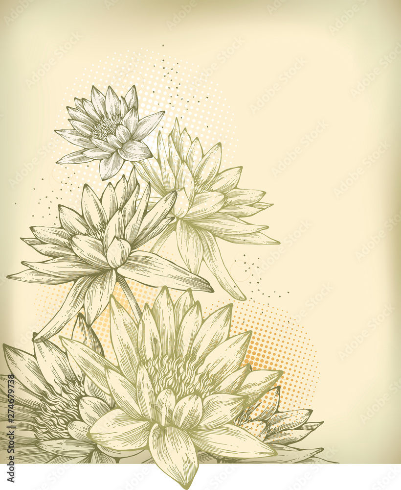 custom made wallpaper toronto digitalBackground with hand drawn water lilies, hahd drawing. Vector illustration.