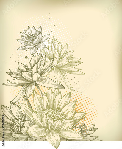 Wallpaper Mural Background with hand drawn water lilies, hahd drawing. Vector illustration. Torontodigital.ca