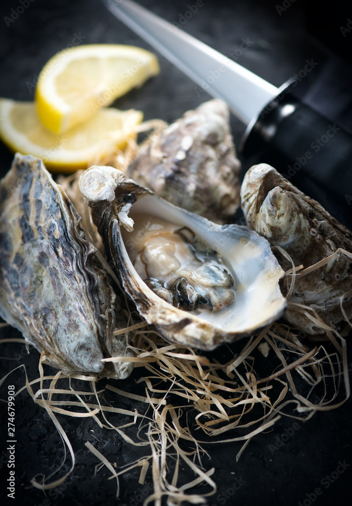 Oyster. Fresh oysters with knife closeup. Oysters on dark slate background. Gourmet food. Flatlay, top view Oyster. Fresh oysters with knife closeup. Oysters on dark slate background. Gourmet food. Flatlay, top view