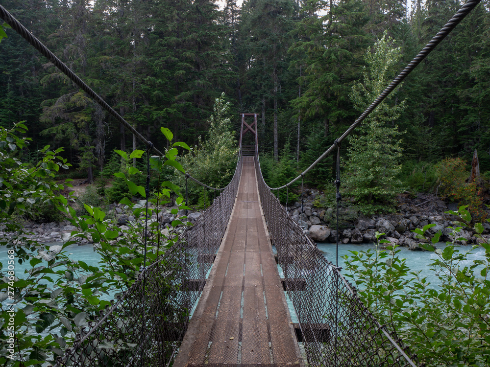 Fototapeta premium suspension bridge in a canadian forest