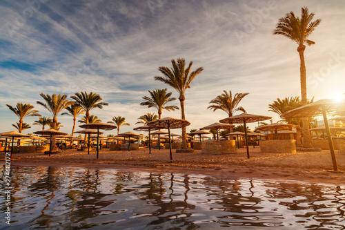 Beautiful romantic sunset over a sandy beach and palm trees. Egypt. Hurghada. © Anton Petrus