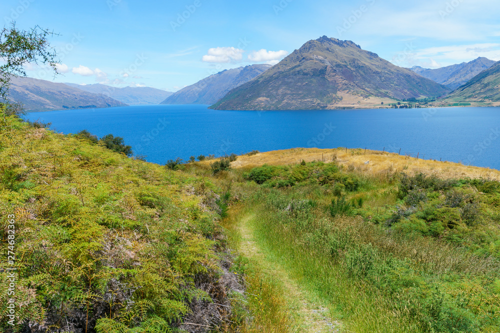 hiking jacks point track with view of lake wakatipu, queenstown, new zealand 13