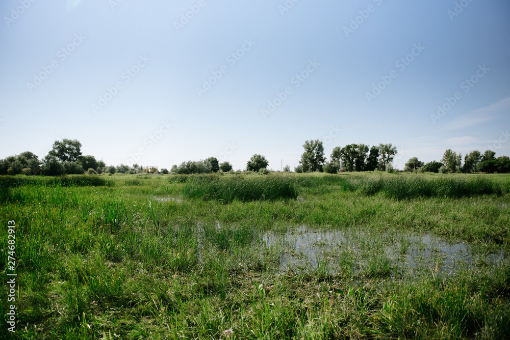 Rescue of fry of fishes from arid reservoirs