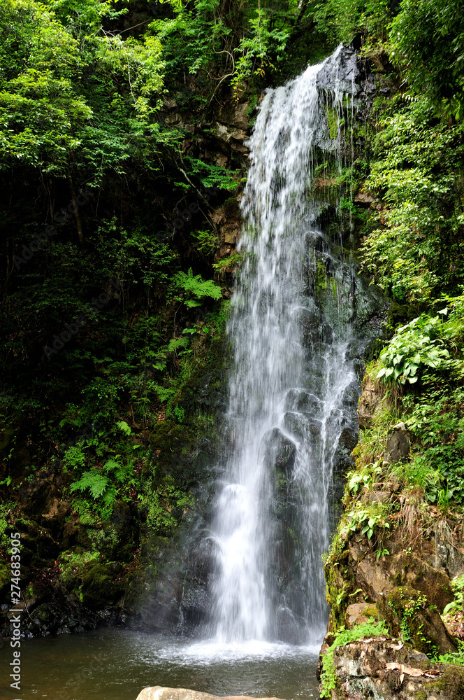 竜吟の滝